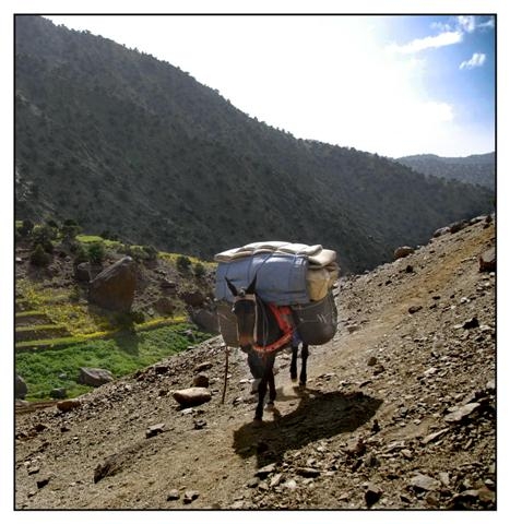 toubkal 195 (Small).jpg